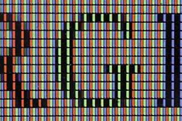 Obsługa wyświetlaczy kolorowych. Wyświetlanie bitmap