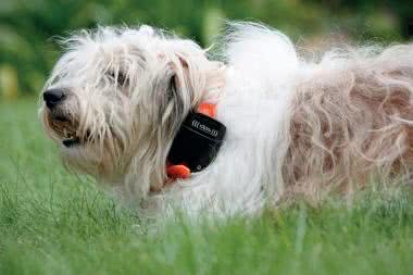 Moduły GSM do aplikacji embedded