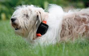 Moduły GSM do aplikacji embedded