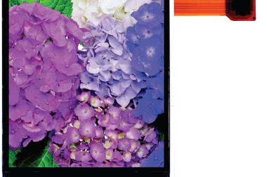 Wyświetlacze TFT LCD dla urządzeń przenośnych w ofercie firmy Gamma