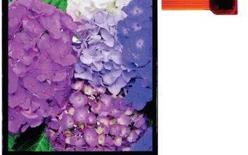 Wyświetlacze TFT LCD dla urządzeń przenośnych w ofercie firmy Gamma