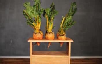 BeetBox - perkusja z Raspberry PI i buraków