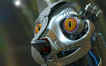 Kot z dostępem do Internetu