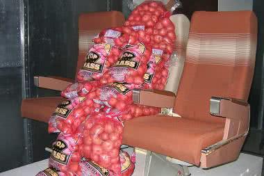 Ziemniaki w służbie Wi-Fi