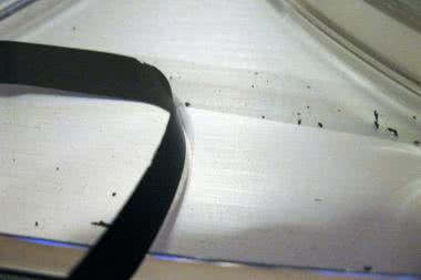 „Lepka” taśma magnetyczna