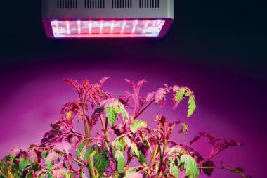 LEDy dla profesjonalistów