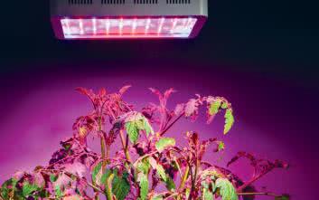 LEDy dla profesjonalistów