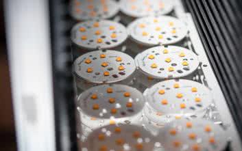 Kompleksowa oferta firmy Maritex