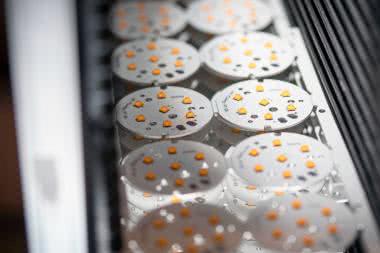 Kompleksowa oferta firmy Maritex