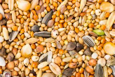 Komórkowy Internet Rzeczy (IoT) oraz Bluetooth LE wspierają zrównoważone rolnictwo