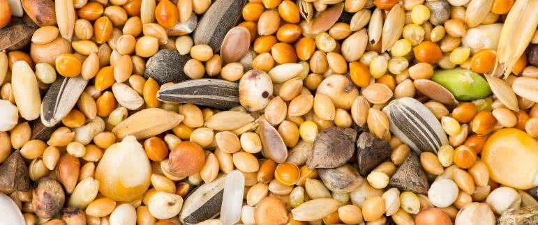 Komórkowy Internet Rzeczy (IoT) oraz Bluetooth LE wspierają zrównoważone rolnictwo