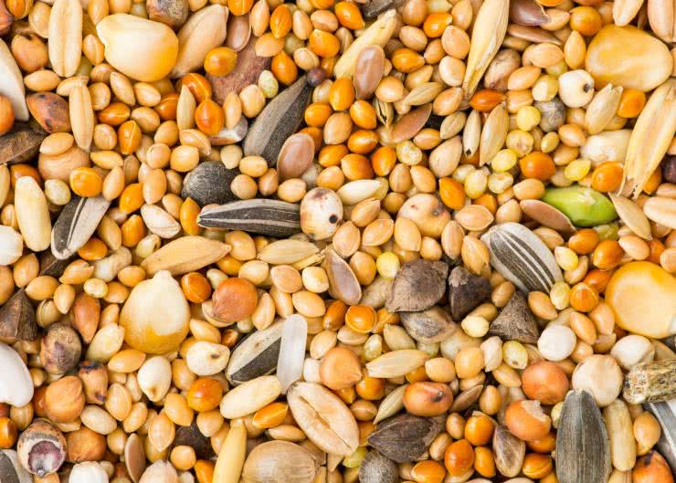 Komórkowy Internet Rzeczy (IoT) oraz Bluetooth LE wspierają zrównoważone rolnictwo